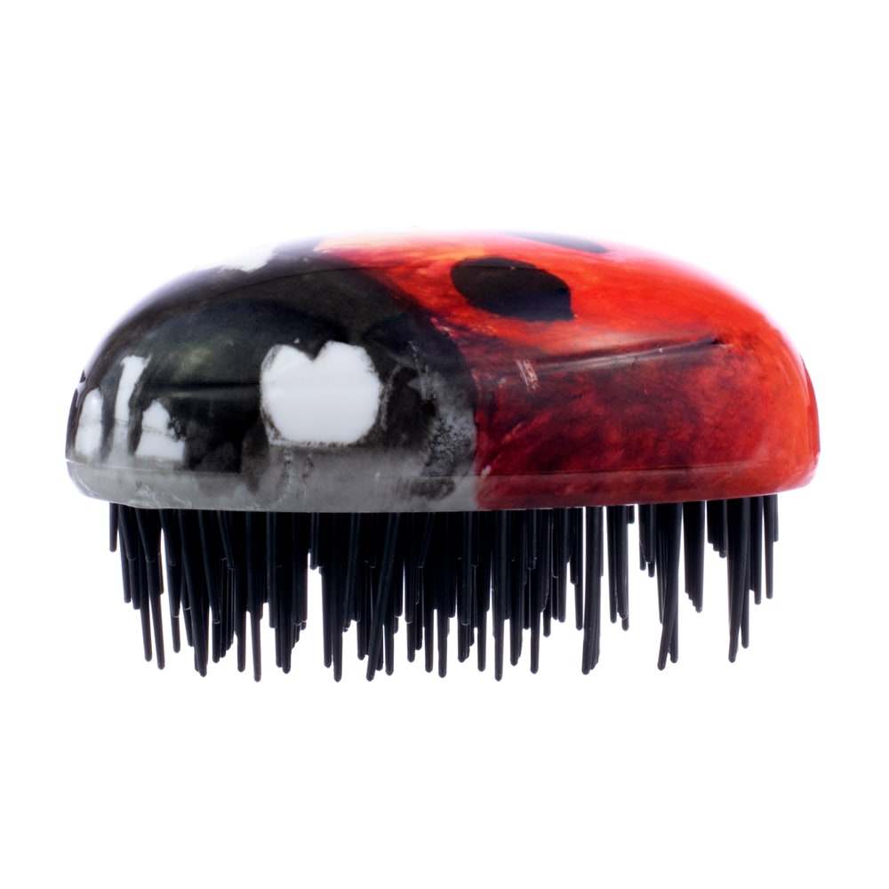 kent-pbug-pebble-ladybug-kinderb-rste-reise image 3