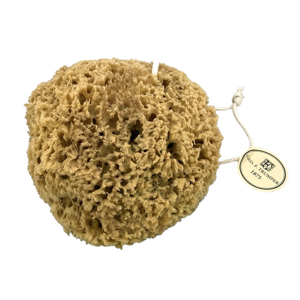 geo-trumper-natur-meerschwamm-unbleached-sea-sponge-5-7-zoll image 3
