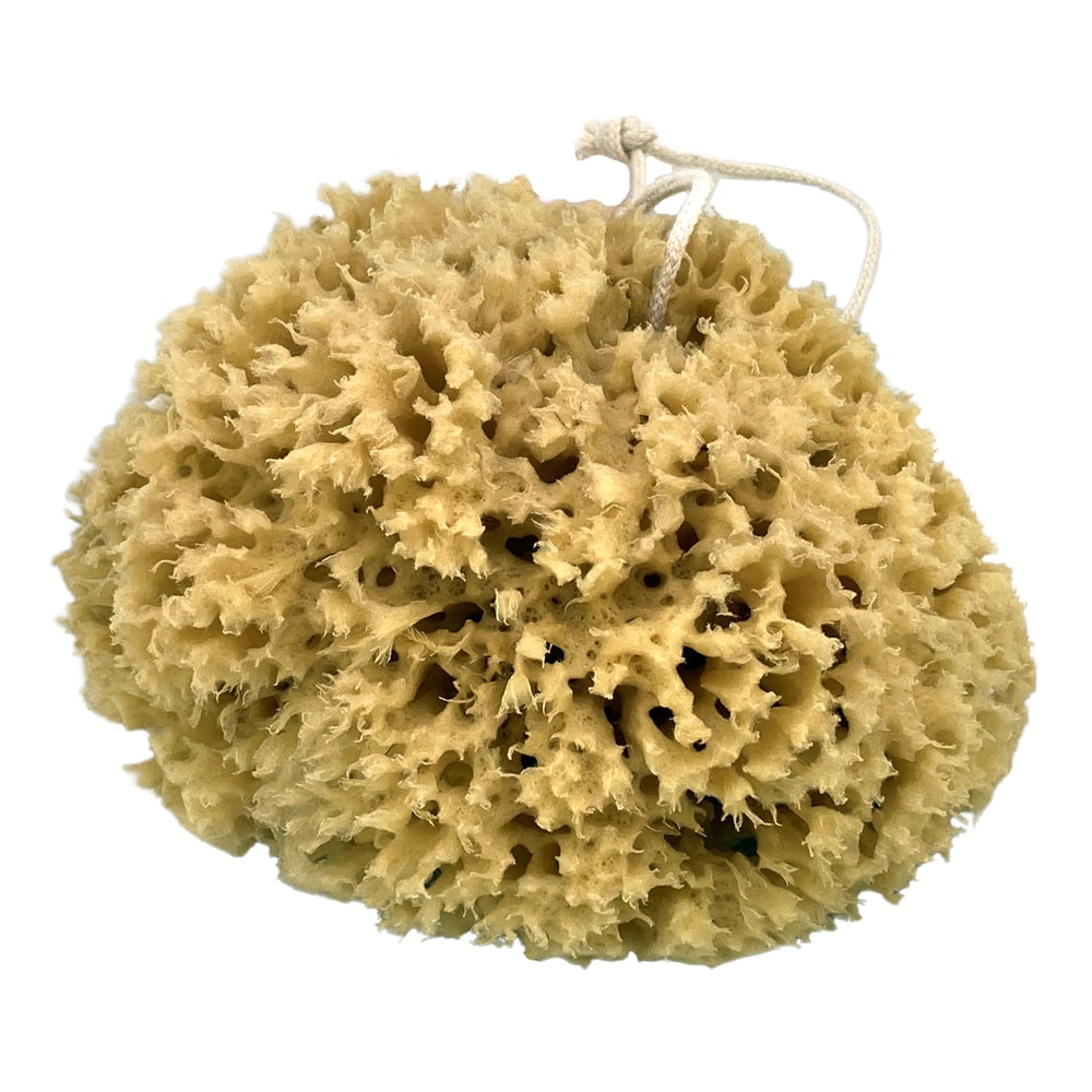 geo-trumper-natur-meerschwamm-unbleached-sea-sponge-5-7-zoll image 1