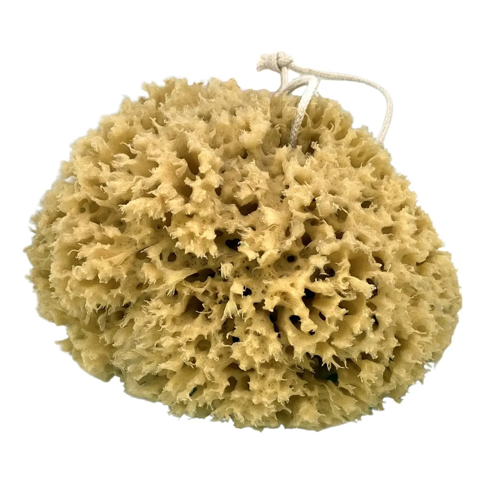 geo-trumper-natur-meerschwamm-unbleached-sea-sponge-5-7-zoll image 1