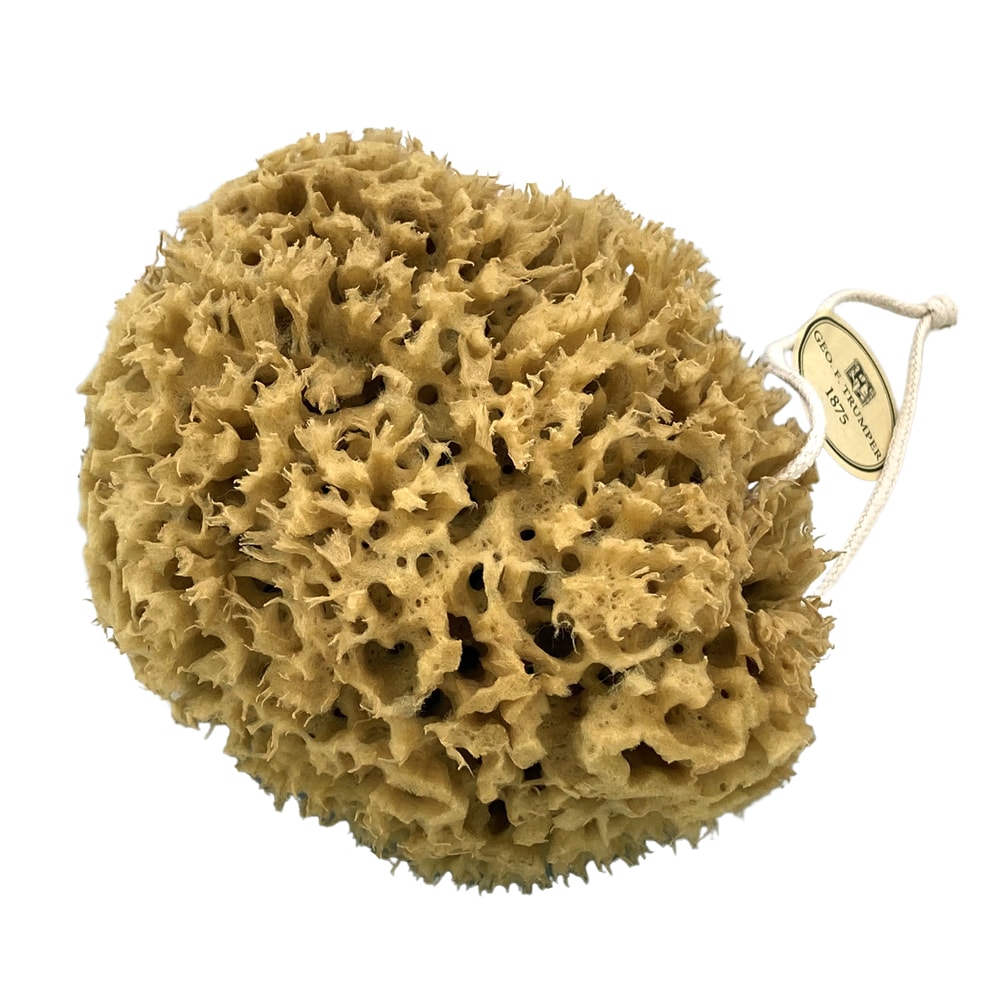 geo-trumper-natur-meerschwamm-unbleached-sea-sponge-5-7-zoll image 2