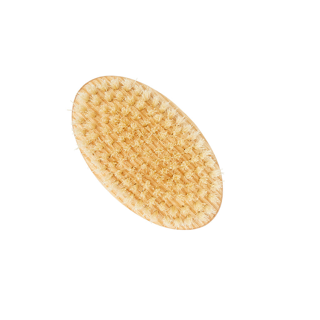 kent-nb6-extra-gro-e-nagelb-rste-eschenholz-wei-e-borsten image 3