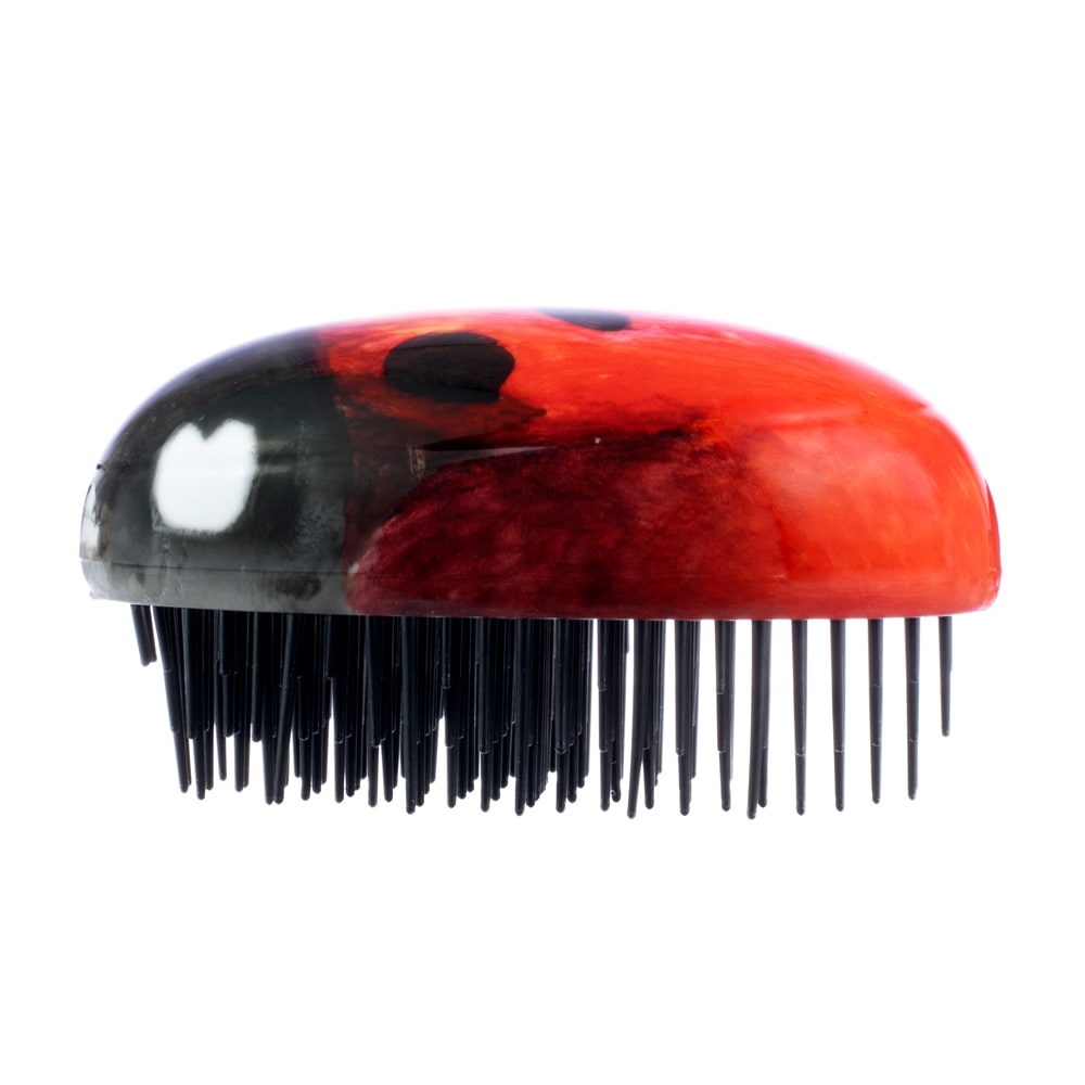 kent-pbug-pebble-ladybug-kinderb-rste-reise image 6