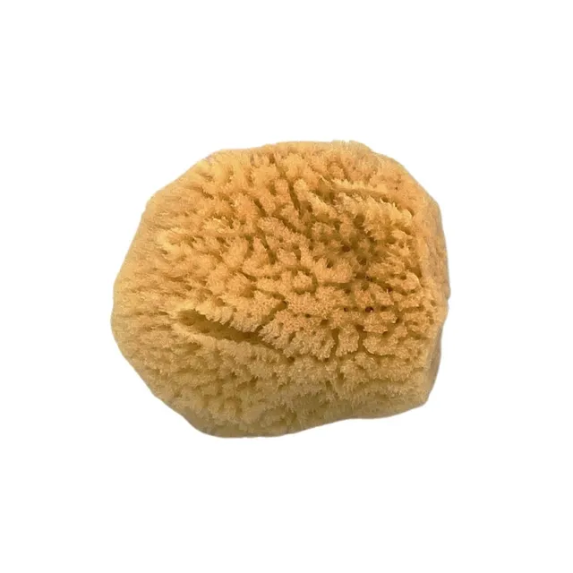 geo-trumper-gesichtsschwamm-naturschwamm image 1