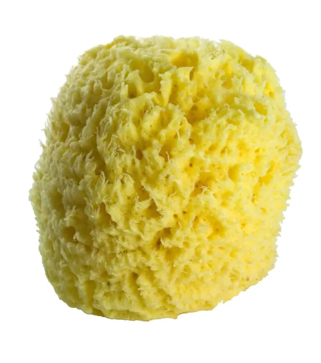 geo-trumper-natural-sea-sponges-natur-meerschw-mme image 1