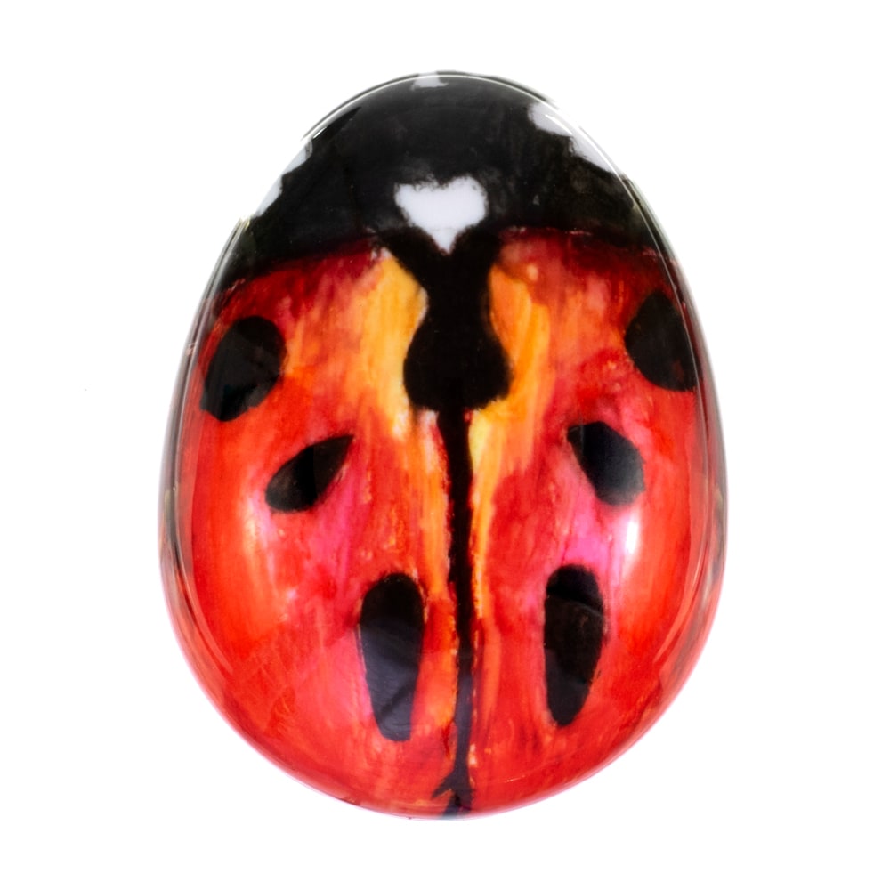 kent-pbug-pebble-ladybug-kinderb-rste-reise image 2
