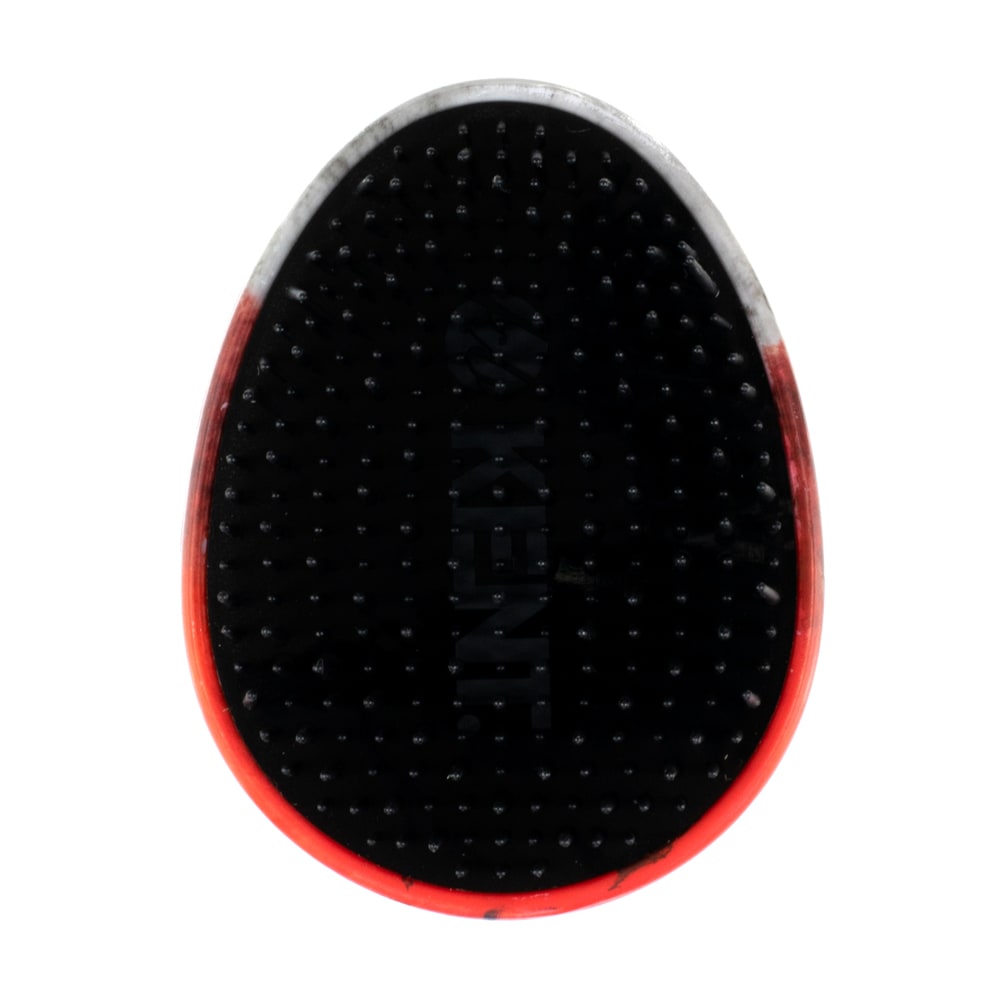 kent-pbug-pebble-ladybug-kinderb-rste-reise image 5